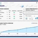 what are seo tools dashboard overview